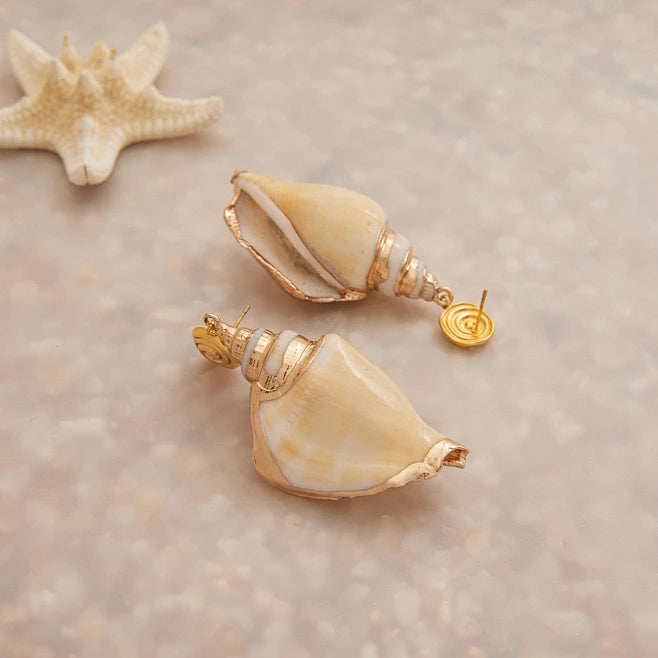 Conch Shell  Earrings