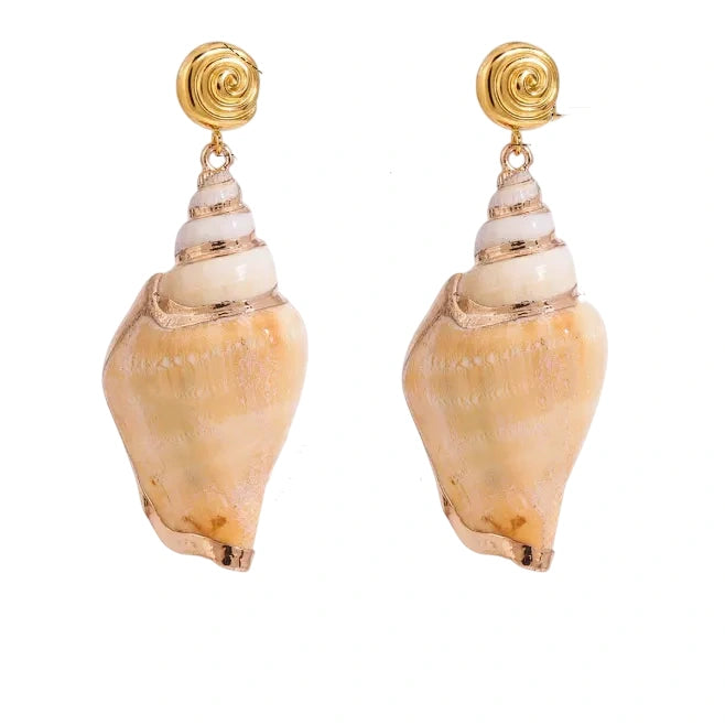 Conch Shell  Earrings
