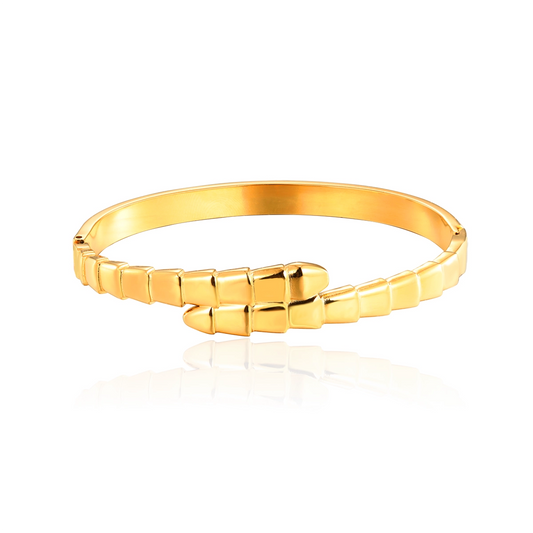 Snake Bracelet Bangle